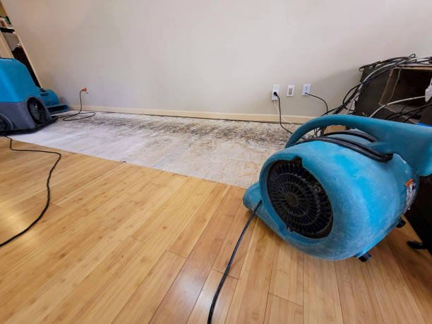 Professional Ceiling Water Damage Repair technician working in Gainesville, FL